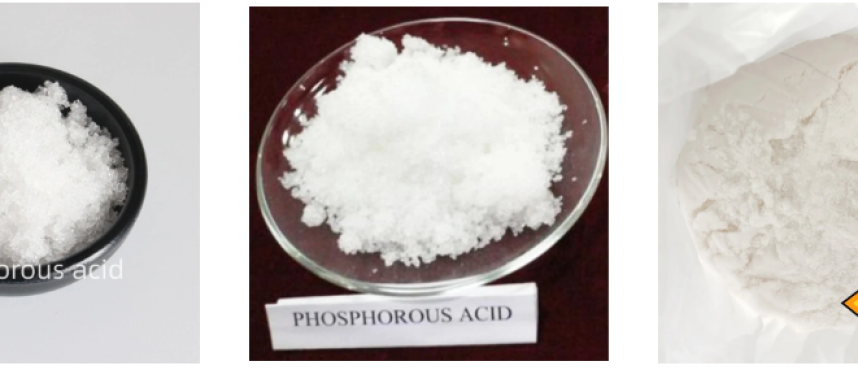 Your Trusted Phosphorous Acid Supplier in India and Beyond