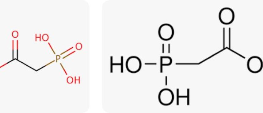 Kolkata Chemical: A Trailblazer in Phosphonoacetic Acid Production in india