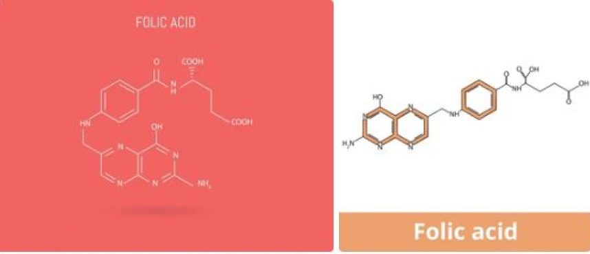 Kolkata Chemical: The Vanguard of Pteroylglutamic Acid (Folic Acid) in India
