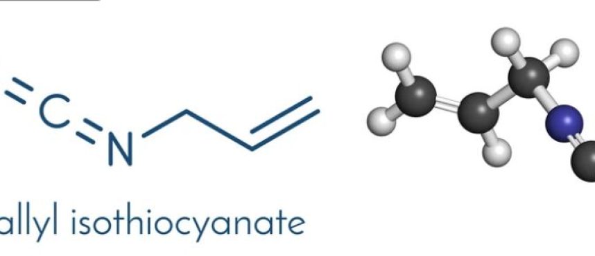 Kolkata Chemical: Pioneering Allyl Isothiocyanate Supplier, Manufacturer, and Distributor in India
