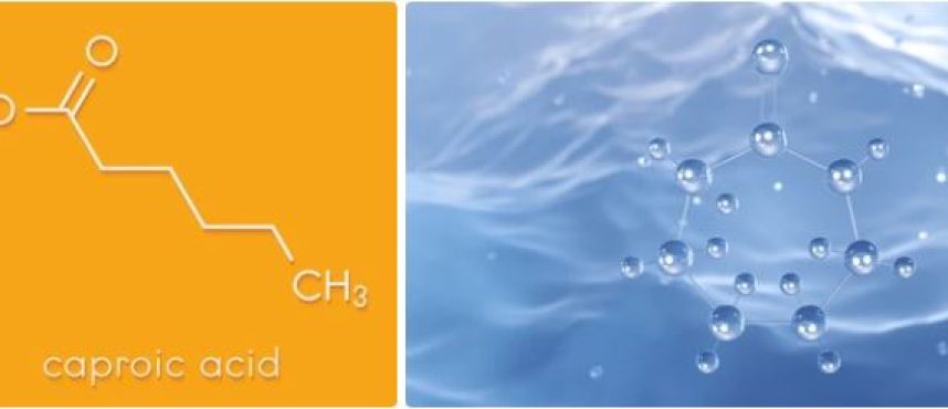 Kolkata Chemical: Your Premier Caproic Acid Supplier, Manufacturer, and Distributor in India