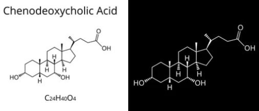 Chenodeoxycholic Acid Supplier, Manufacturer, and Distributor in India