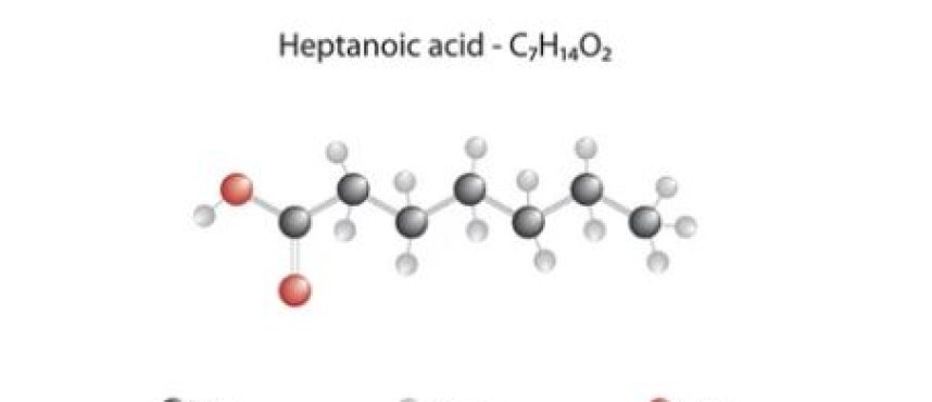 Kolkata Chemical: Pioneering Heptanoic Acid Distribution in India