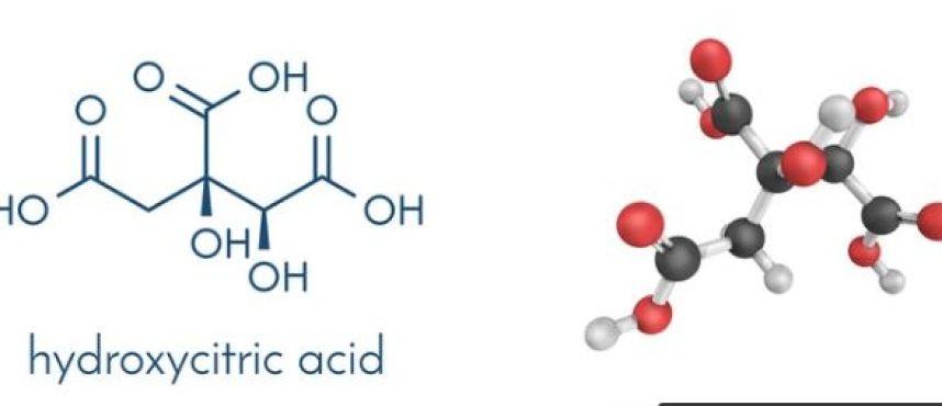 Kolkata Chemical: The Pinnacle of Hydroxycitric Acid Distribution