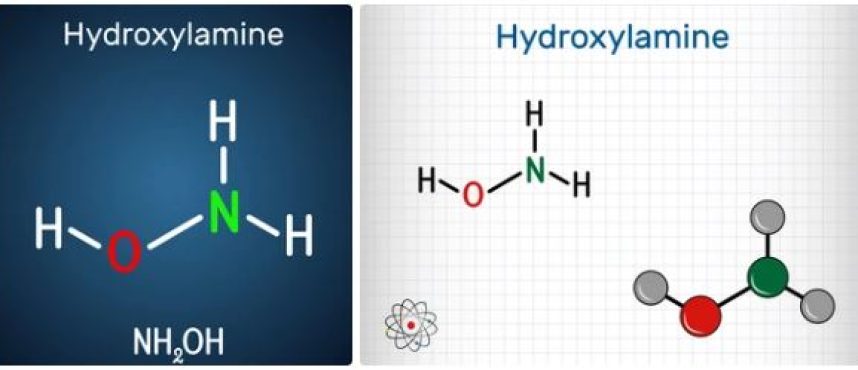 Kolkata Chemical: The Apex of Hydroxylamine Distribution in India