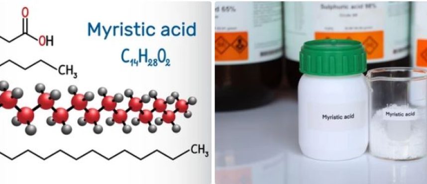 Kolkata Chemical: Your Premier Myristic Acid Partner