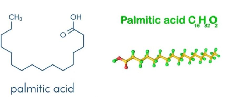 Kolkata Chemical: The Pinnacle of Palmitic Acid Production and Supply