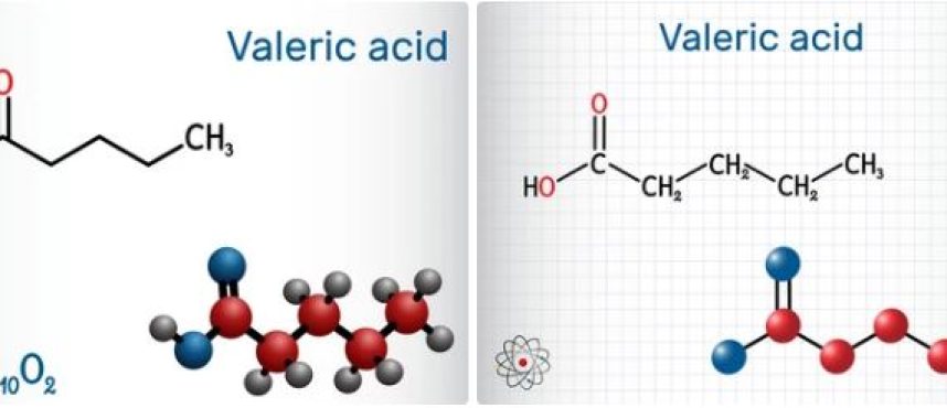 Kolkata Chemical: India’s Premier Valeric Acid Supplier, Manufacturer, and Distributor
