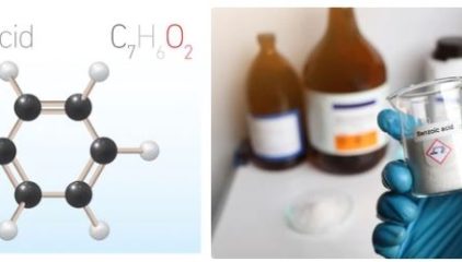 Benzoic Acid supplier in india