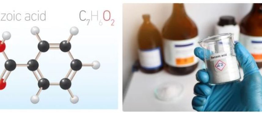 Benzoic Acid supplier in india